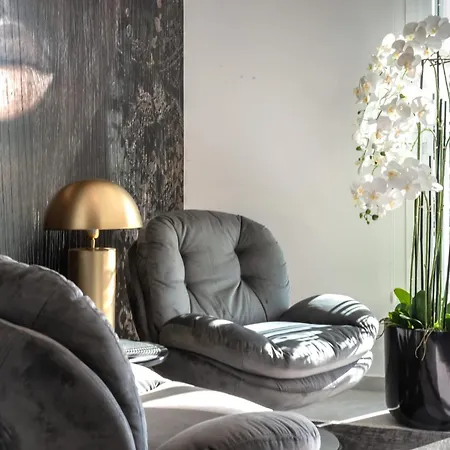 About Estrella De Oro אסטפונה